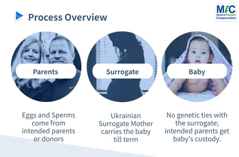 Ukraine-Surrogacy-Process