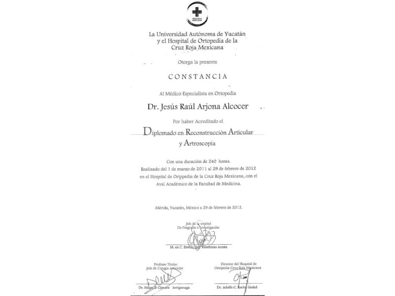 Dr. Jesús Raúl Arjona Alcocer