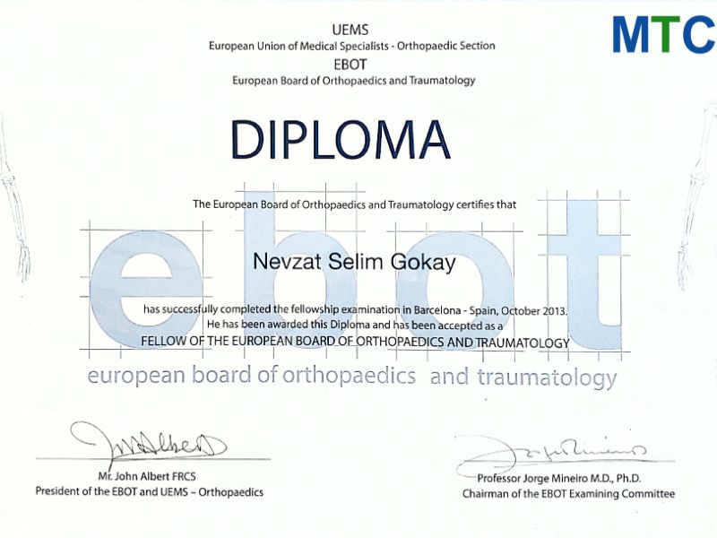 Dr. Nevzat Selim Gokay - Certificate