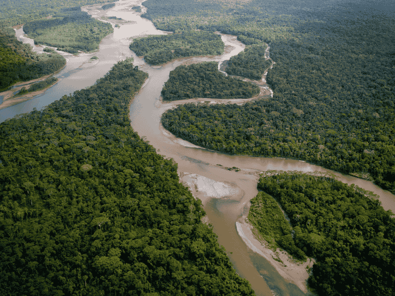 Amazon Rainforest