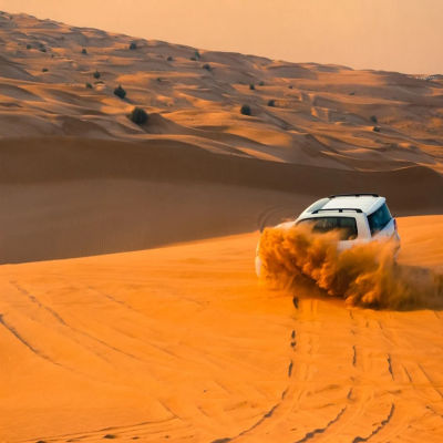 Desert Safari