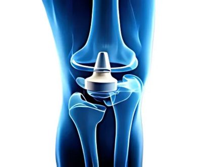 knee joint