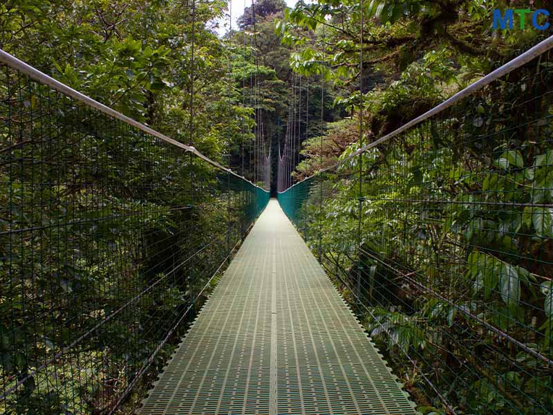 Monteverde and the Cloud Forest | Costa Rica