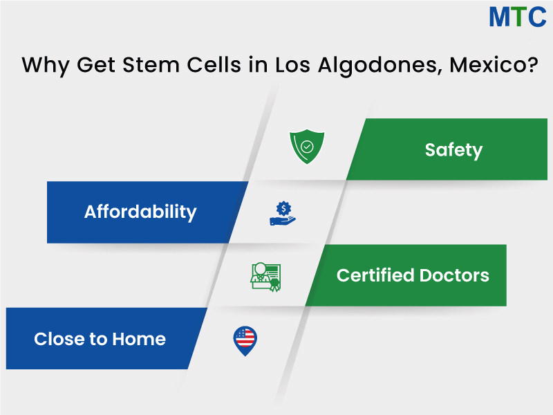 4 Reasons To Opt for Stem Cell Therapy in Los Algodones